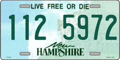 NH license plate 1125972
