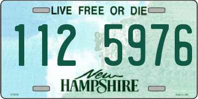 NH license plate 1125976