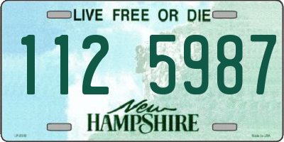 NH license plate 1125987