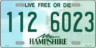 NH license plate 1126023