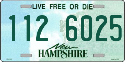 NH license plate 1126025