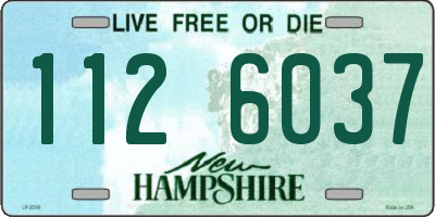 NH license plate 1126037