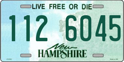 NH license plate 1126045