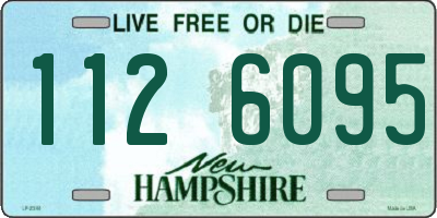 NH license plate 1126095