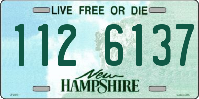 NH license plate 1126137