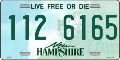 NH license plate 1126165