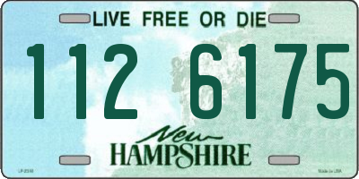 NH license plate 1126175