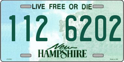 NH license plate 1126202