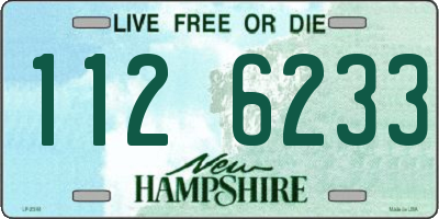 NH license plate 1126233