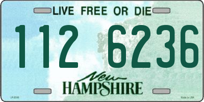 NH license plate 1126236