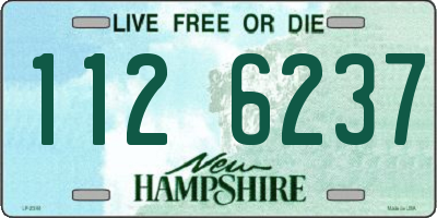 NH license plate 1126237