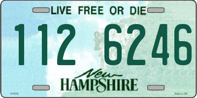 NH license plate 1126246