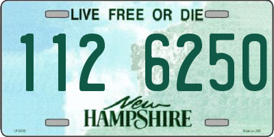 NH license plate 1126250