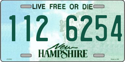 NH license plate 1126254