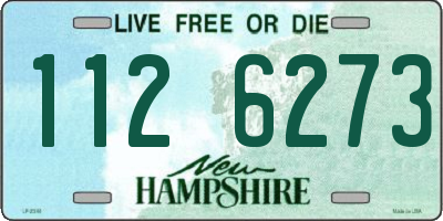 NH license plate 1126273