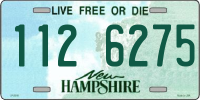 NH license plate 1126275