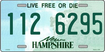 NH license plate 1126295