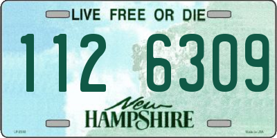 NH license plate 1126309