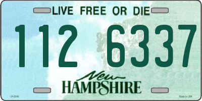 NH license plate 1126337