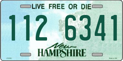 NH license plate 1126341