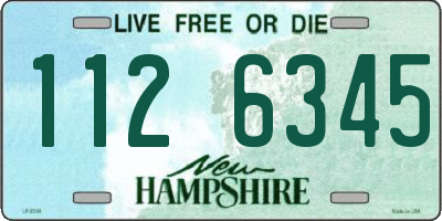 NH license plate 1126345