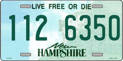 NH license plate 1126350