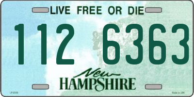 NH license plate 1126363