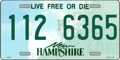 NH license plate 1126365
