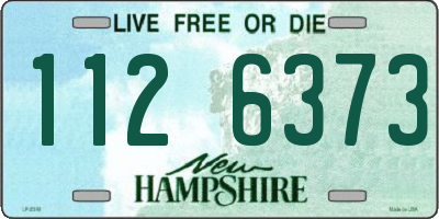 NH license plate 1126373