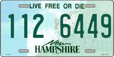 NH license plate 1126449