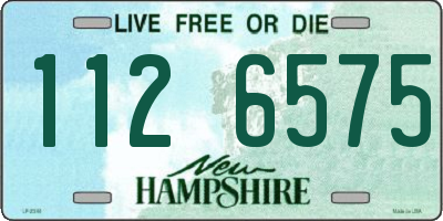 NH license plate 1126575