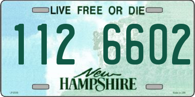 NH license plate 1126602