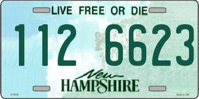 NH license plate 1126623
