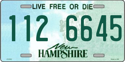 NH license plate 1126645