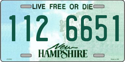 NH license plate 1126651