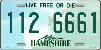 NH license plate 1126661