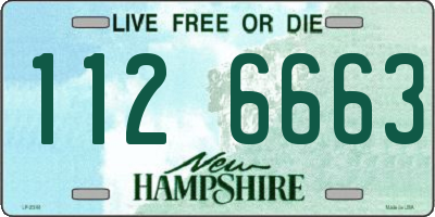 NH license plate 1126663