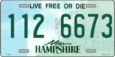 NH license plate 1126673