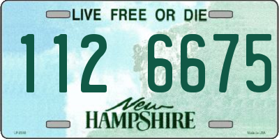 NH license plate 1126675