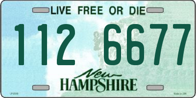 NH license plate 1126677