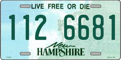 NH license plate 1126681