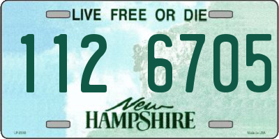 NH license plate 1126705