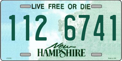 NH license plate 1126741