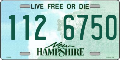 NH license plate 1126750