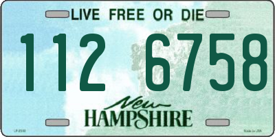 NH license plate 1126758