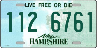 NH license plate 1126761