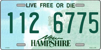 NH license plate 1126775