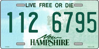 NH license plate 1126795