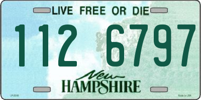 NH license plate 1126797