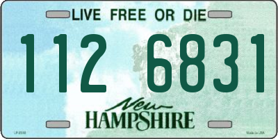 NH license plate 1126831